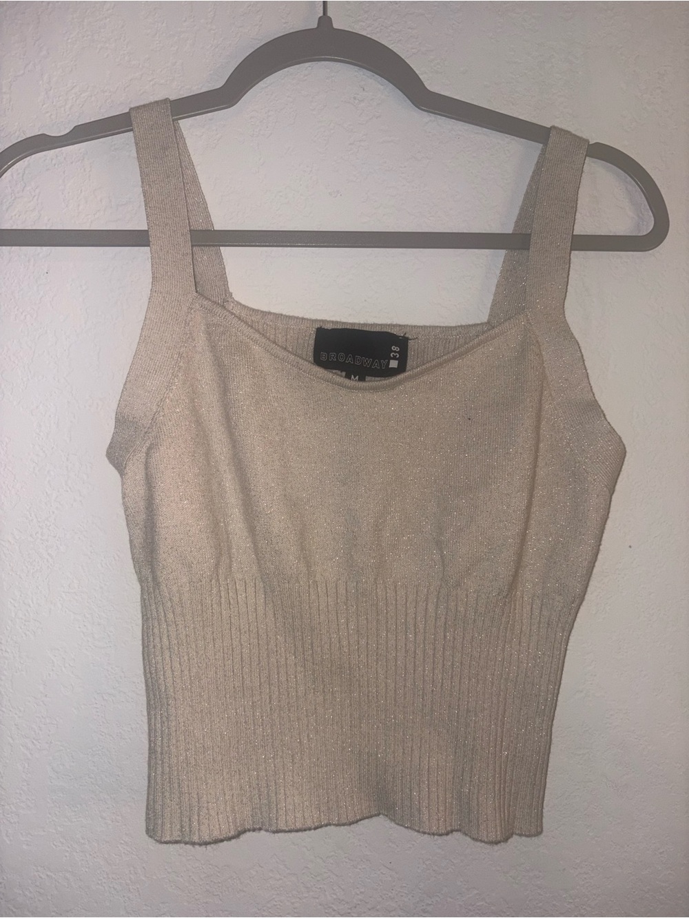 Broadway Essentials Shimmer Knit Tank Top in Beige